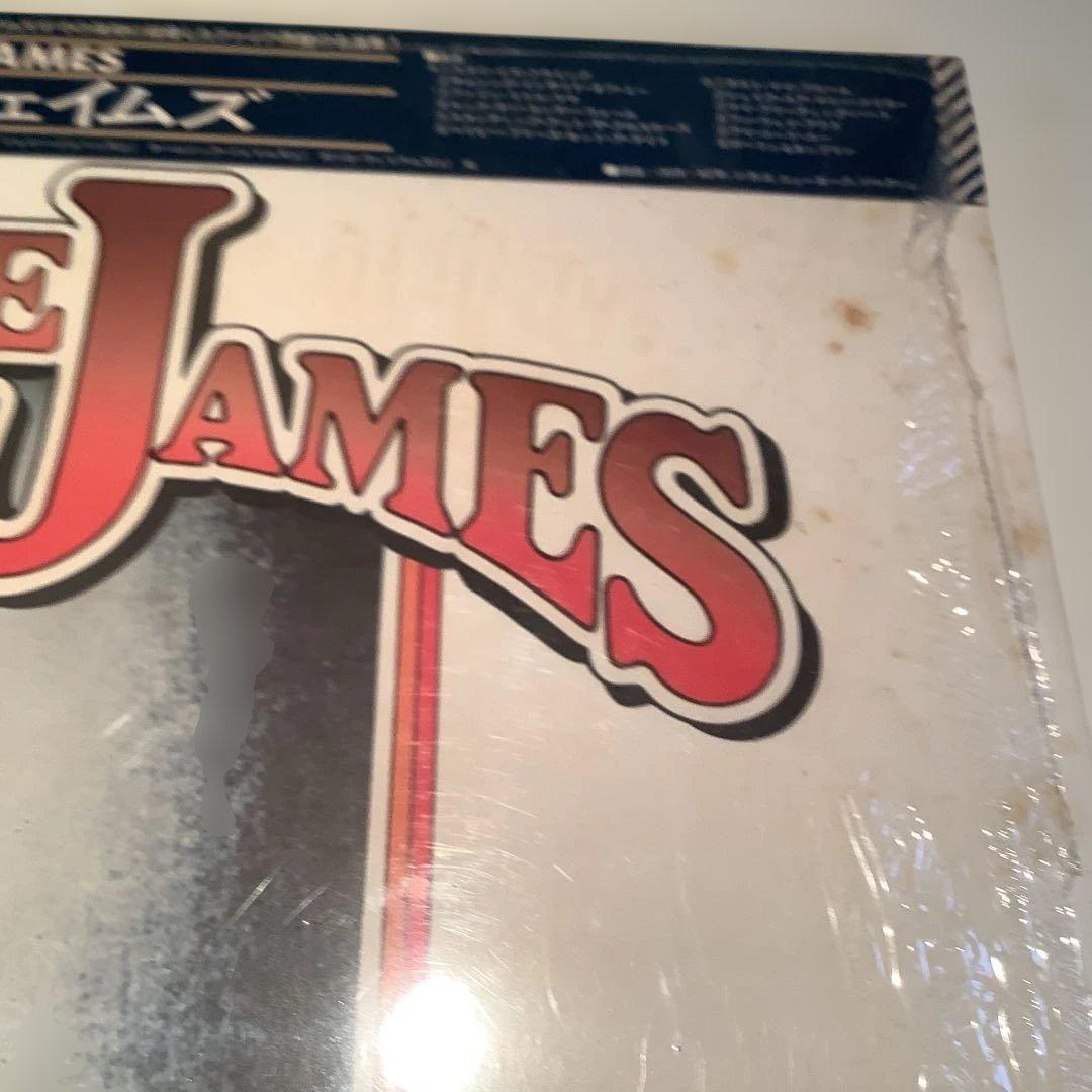 Elmore James Special Blues Series Vinyl Record Arista Japan | Japansoundstore