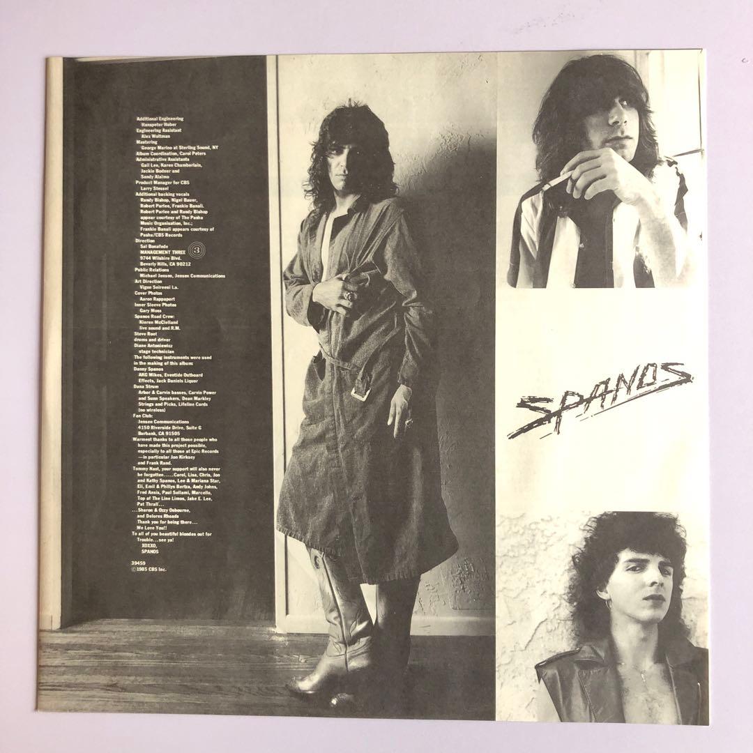 Dan Strum, Danny Spanos Looks Like Trouble LP Japan Original Rock w/ OBI