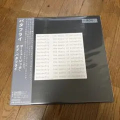 Vincent Gallo - The Music Of Butterfly Japan LP with Obi Strip