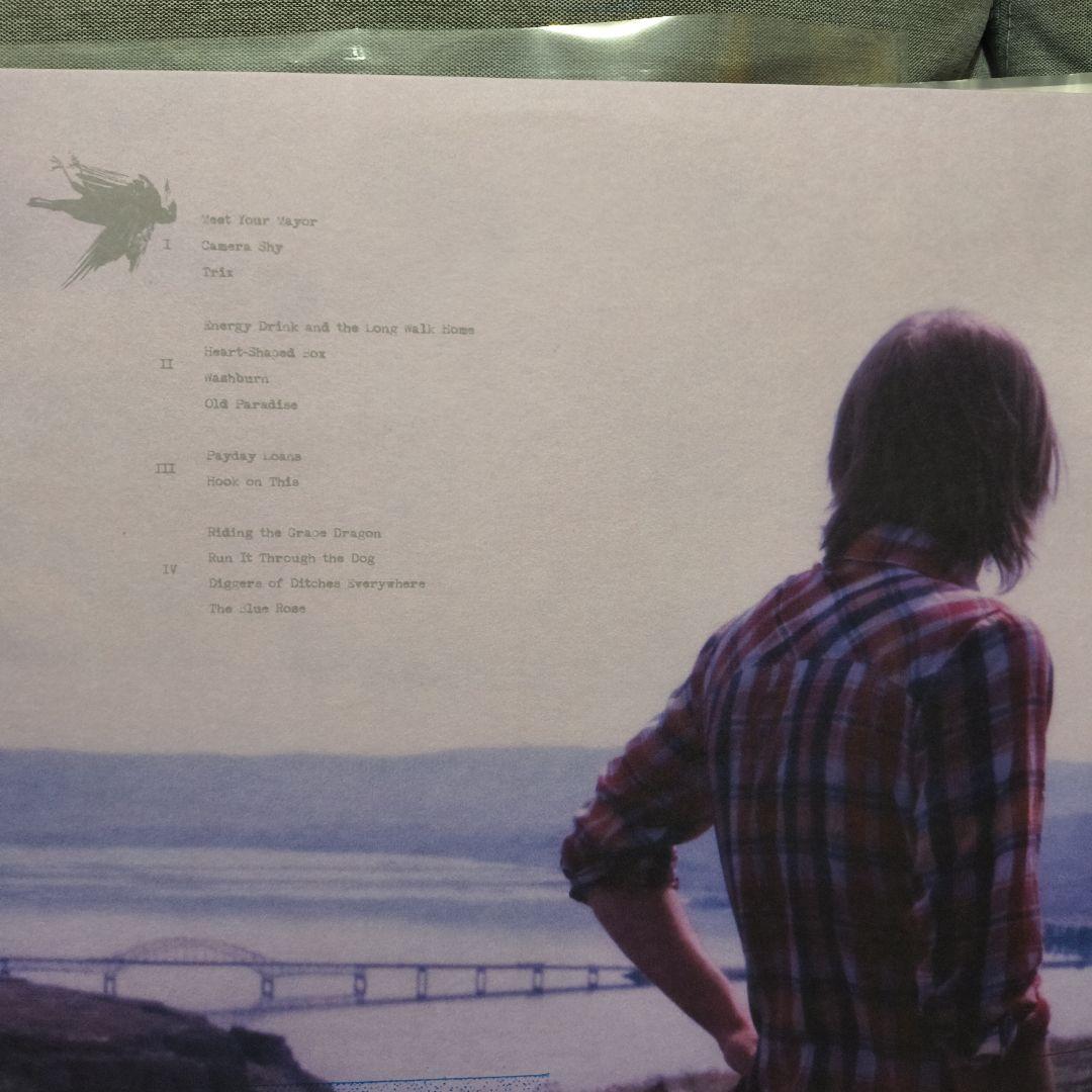 These Arms Are Snakes - Duct Tape & Shivering Crows Vinyl LP Green Purple Splatt