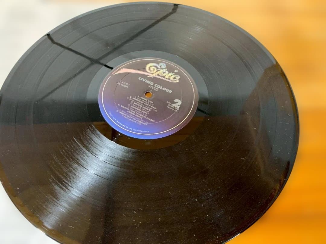 LIVING COLOUR Vivid LP 1988 Original Pressing Epic Records Funk Metal Vinyl