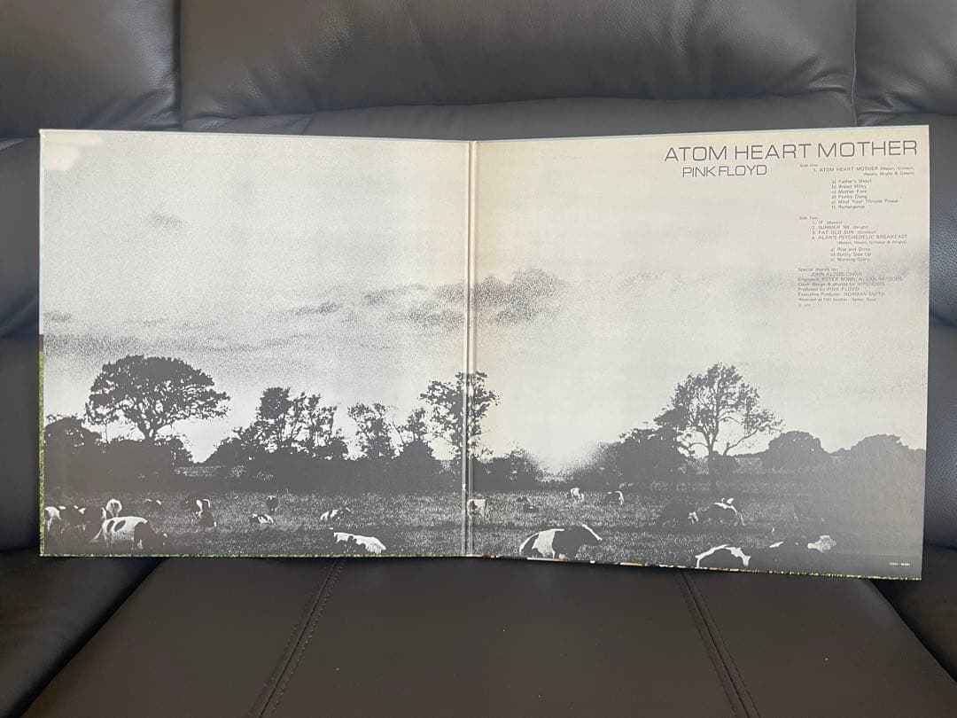 Pink Floyd Atom Heart Mother Vinyl LP Japan EMS-80320 Gatefold Sleeve