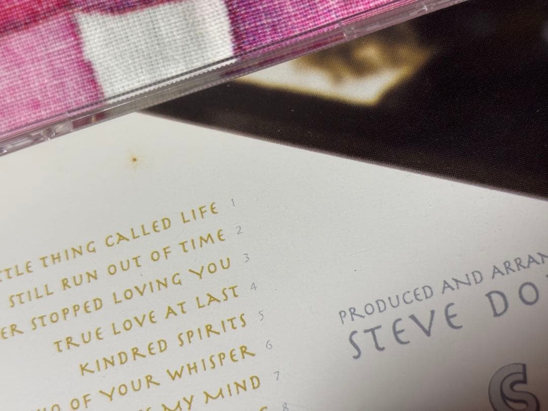 Steve Dorff Original Demos Limited Edition CD AOR Warren Wiebe Used | Japansoundstore