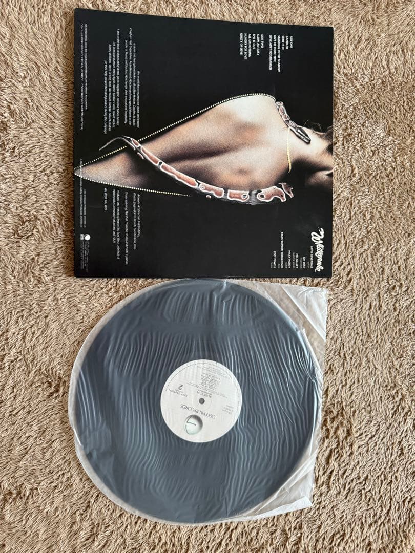 Whitesnake - Slide It In, LP Vinyl, Japan Pressing, Hard Rock, Geffen