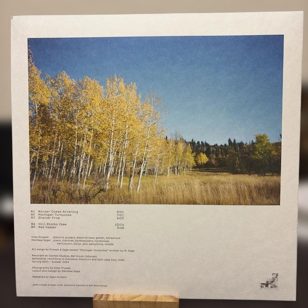 Prymek & Sage - Shelter Vinyl LP, Limited Color Edition, Ambient Folk