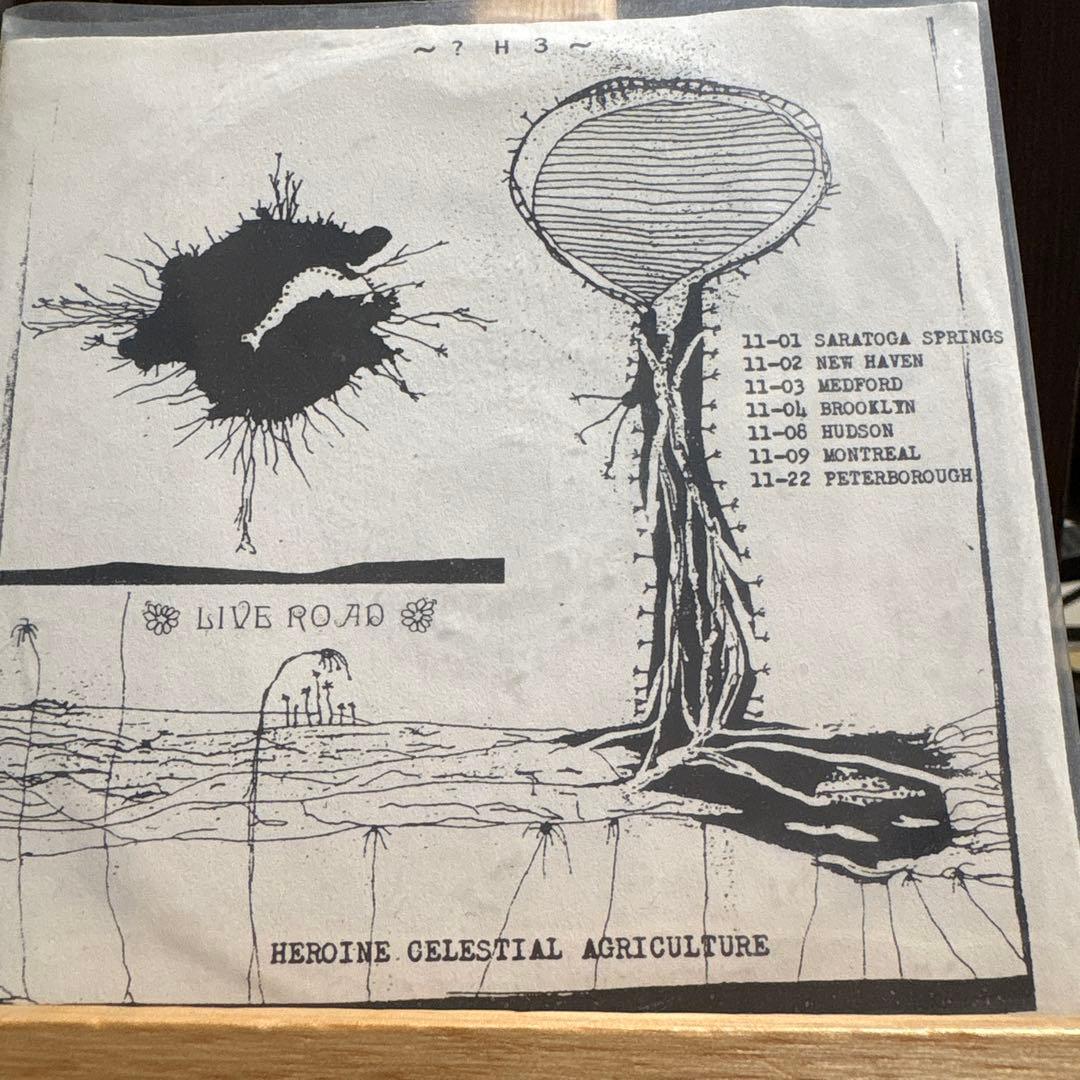 MV & EE - Sasquatch Creamie CD-R, Live at Oxfam Cafe 2008, Rare US Psych Folk