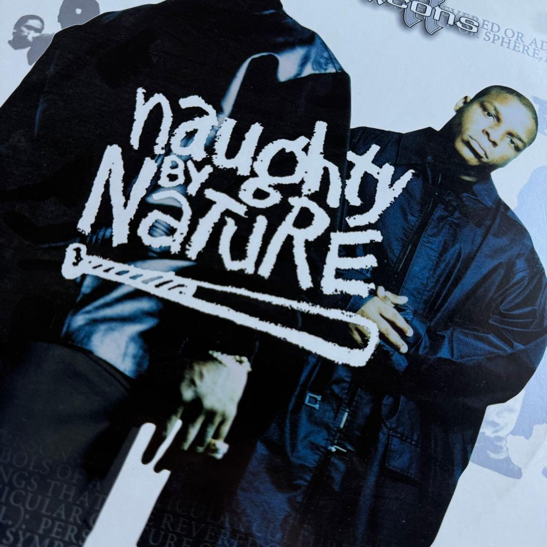 Naughty By Nature - iCONS 2LP Original 2002 Hip Hop Vinyl Album TVT Records