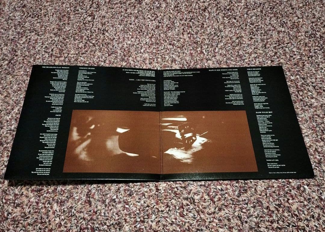 Also The Trees Virus Meadow LP Record Rock Beat Used, Slight Scratches | Japansoundstore