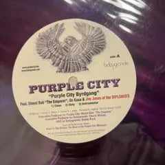 Purple City - Purple City Byrdgang 12" Vinyl Record Ft. Jim Jones Diplomats