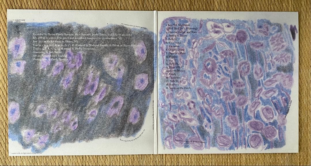 Florist - Florist LP Limited Edition Translucent Burgundy 2LP Indie Folk