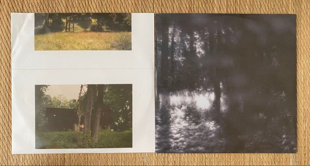 Florist - Florist LP Limited Edition Translucent Burgundy 2LP Indie Folk