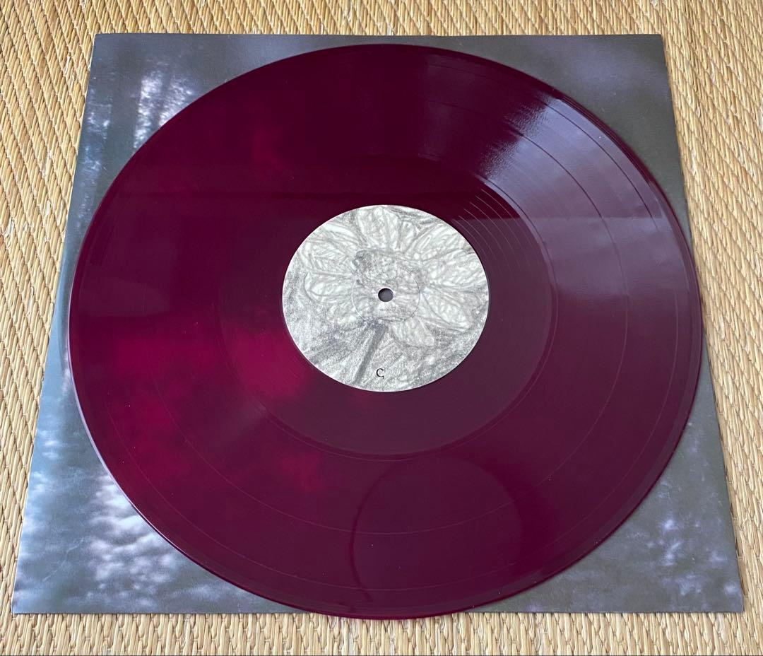 Florist - Florist LP Limited Edition Translucent Burgundy 2LP Indie Folk