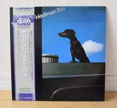 Don Friedman Trio Vinyl LP 1978 Japan Pressing w/ Obi & Liner Notes Jazz