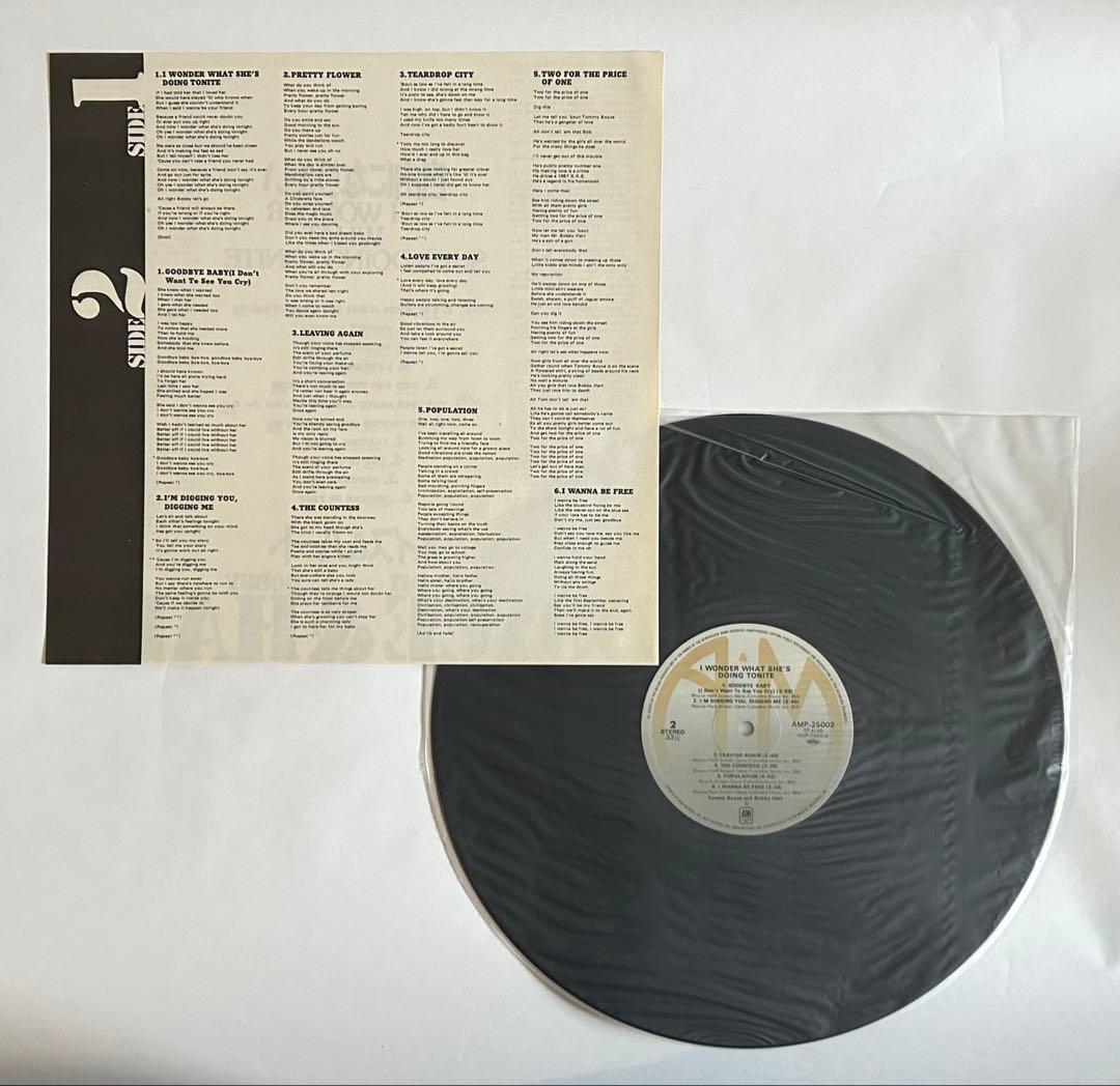 Tommy Boyce & Bobby Hart Vinyl LP Wonder What She's Doing Tonite 1981 Used | Japansoundstore