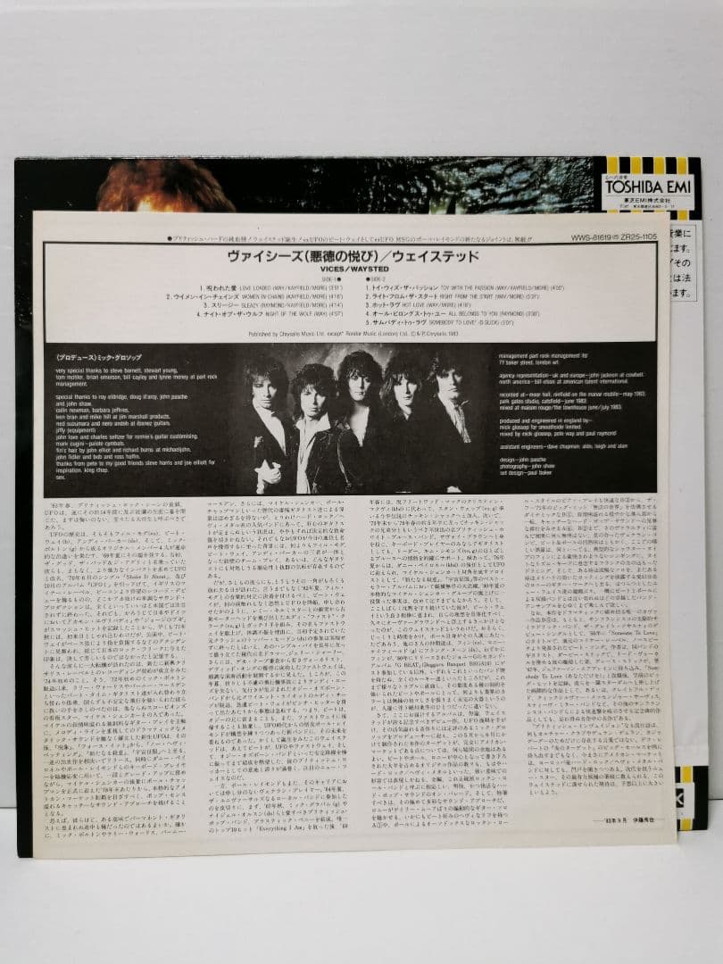 WAYSTED - Vices LP 1983 Japan Pressing Vinyl Record WWS-81619 Hard Rock