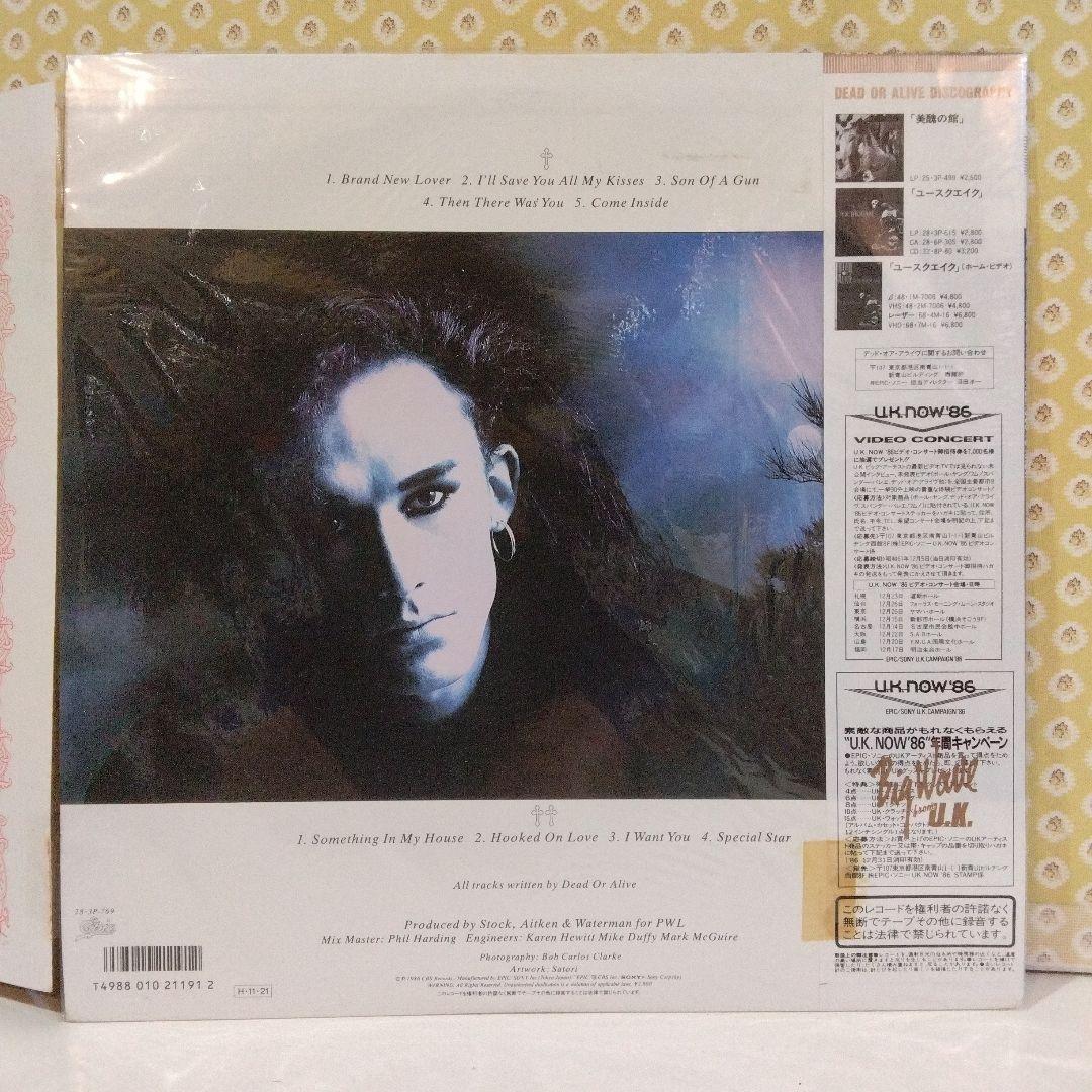 Dead Or Alive - Mad, Bad And Dangerous To Know LP 1986 Japan Pressing W/ Obi