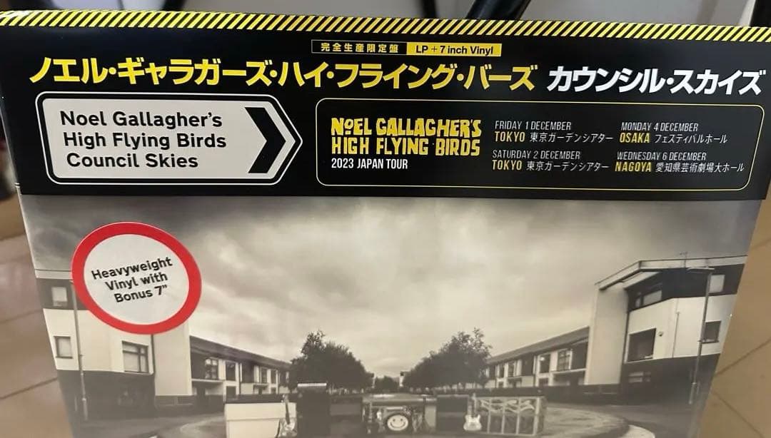 Noel Gallagher Council Skies Limited Edition Vinyl Record Japan Tour Obi | Japansoundstore