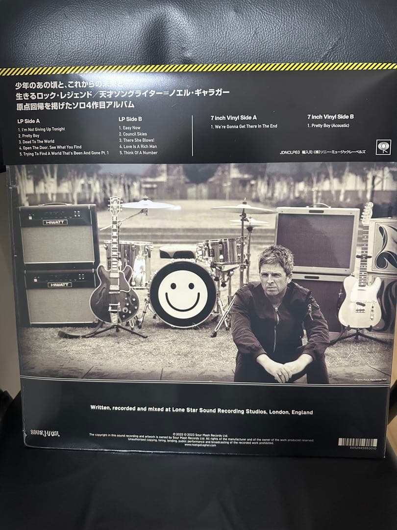 Noel Gallagher Council Skies Limited Edition Vinyl Record Japan Tour Obi | Japansoundstore