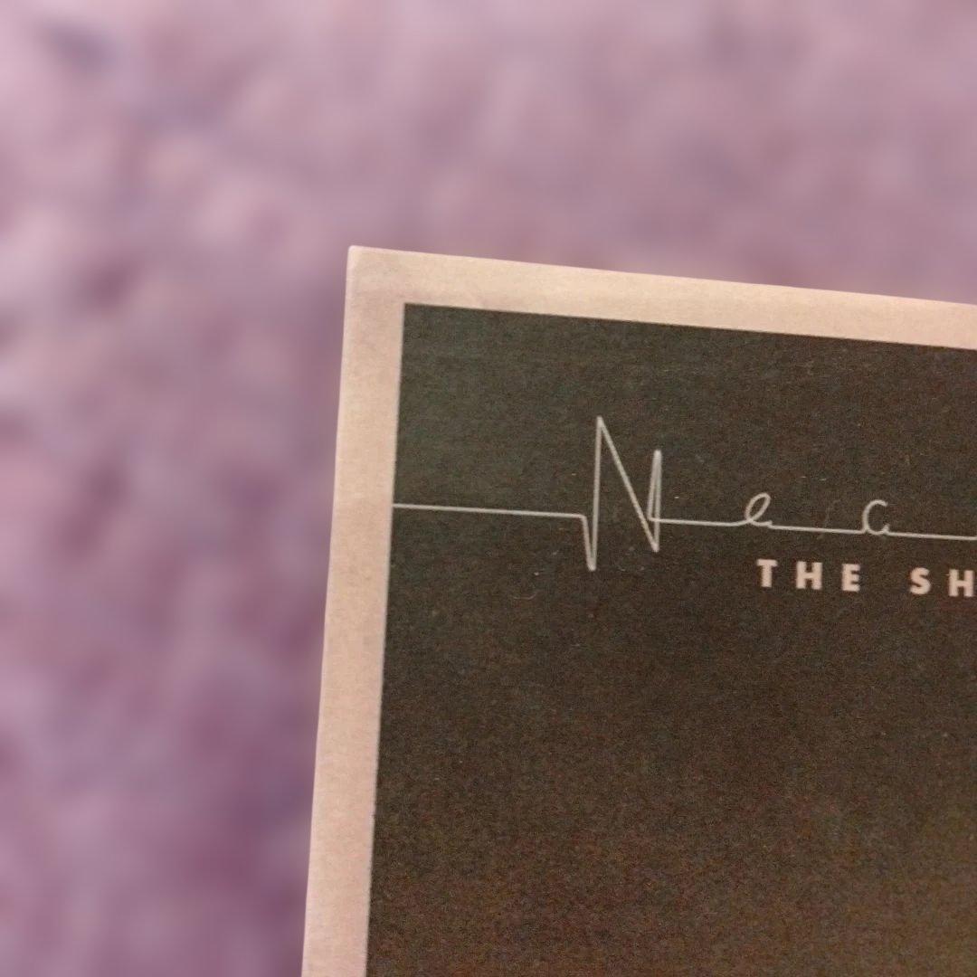 Necromonkey - The Shadow of the Blind Man - CD, Digipak, Swedish Prog, Import
