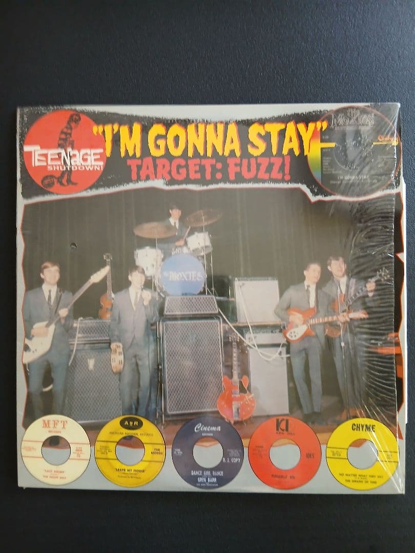 Various - Teenage Shutdown! Vol. 13: I'm Gonna Stay! Vinyl LP Fuzz Garage Rock