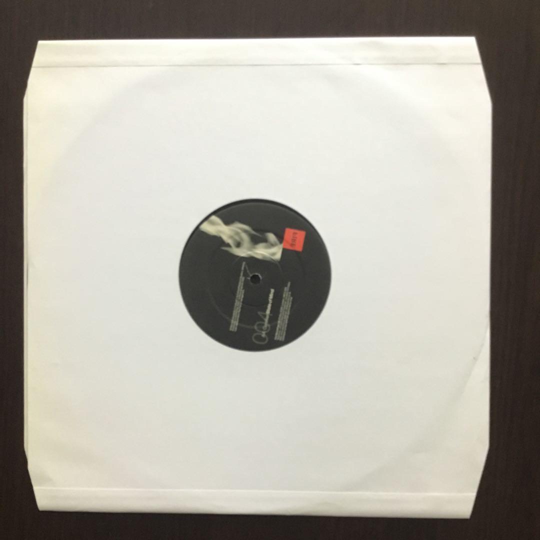Corellian The Fallen State of Mind LP Record Used Edgy Vinyl Music | Japansoundstore