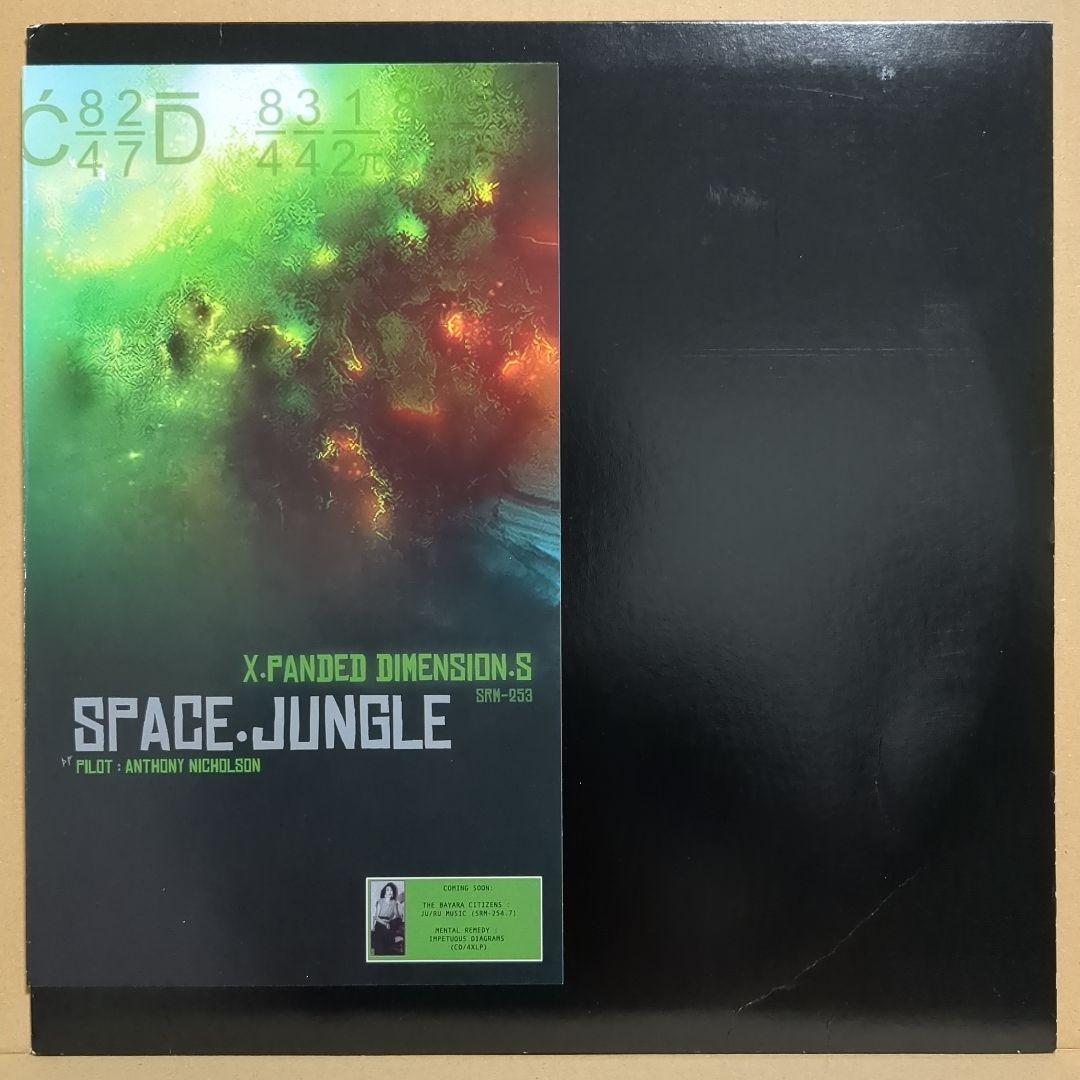 X.Panded Dimension.S - Space.Jungle 12" Vinyl Anthony Nicholson Sacred Rhythm