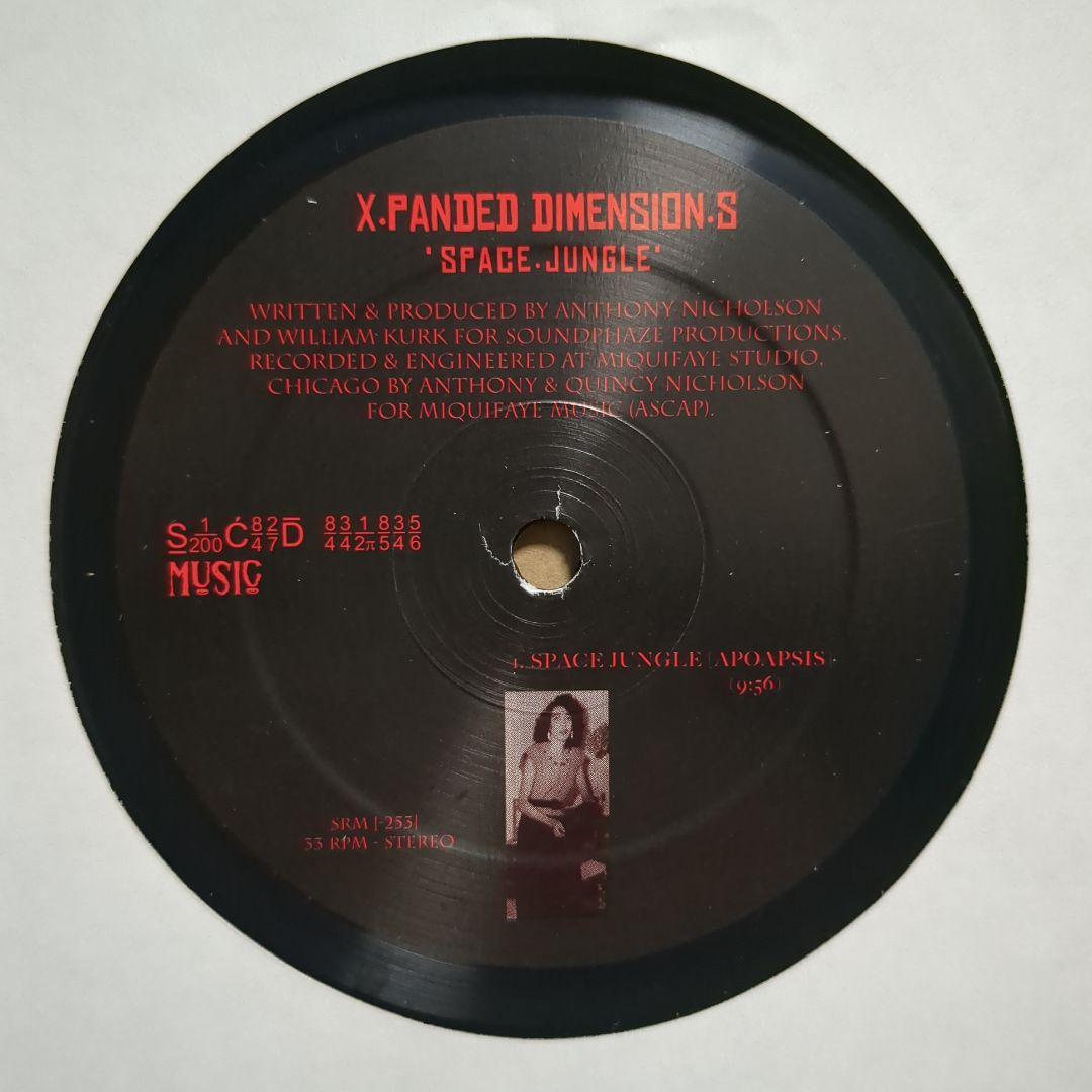 X.Panded Dimension.S - Space.Jungle 12" Vinyl Anthony Nicholson Sacred Rhythm