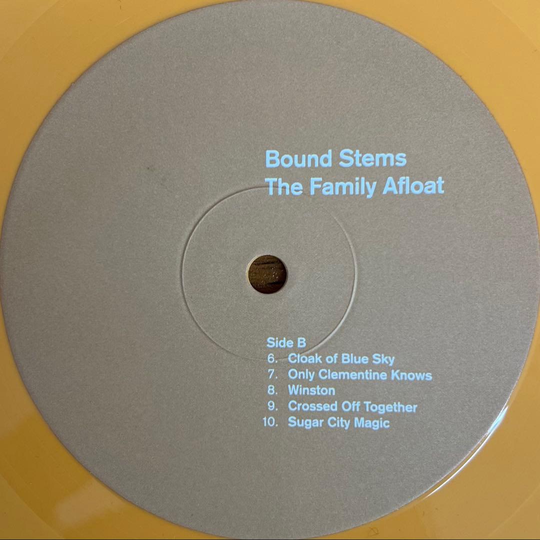 Bound Stems - The Family Afloat LP 180g Orange Vinyl Indie Rock 2008 Flameshovel