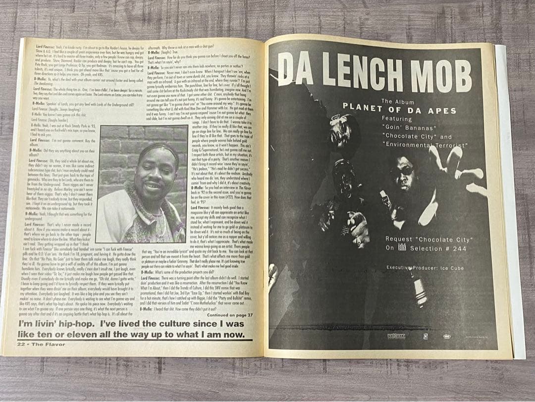 Vintage Hip Hop Magazine The Flavor February 1995 Lord Finesse Big L The Roots