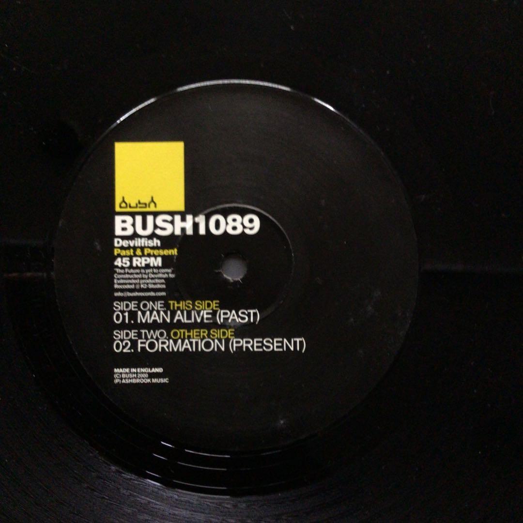 Devilfish - Past & Present 12" Vinyl Electronic Techno Bush Records