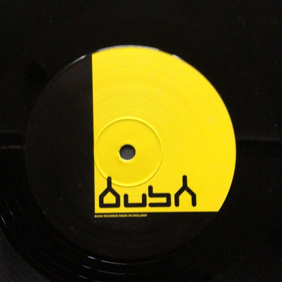 Devilfish - Past & Present 12" Vinyl Electronic Techno Bush Records