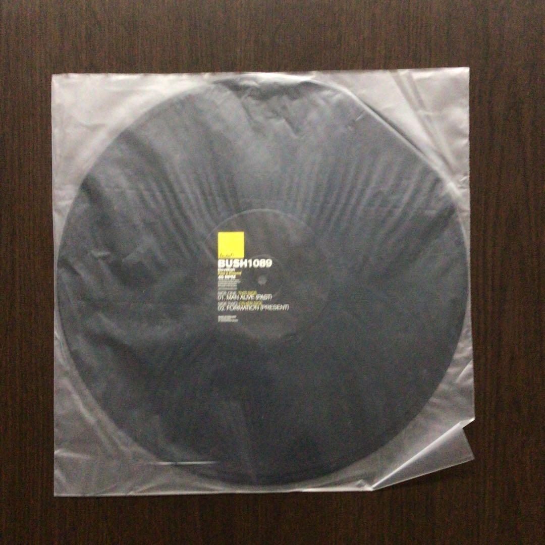 Devilfish - Past & Present 12" Vinyl Electronic Techno Bush Records