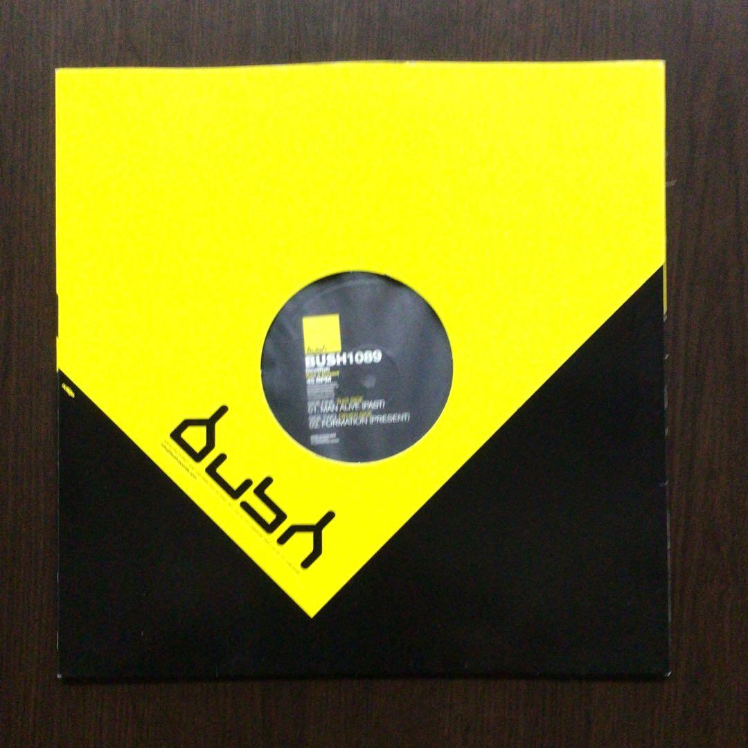 Devilfish - Past & Present 12" Vinyl Electronic Techno Bush Records