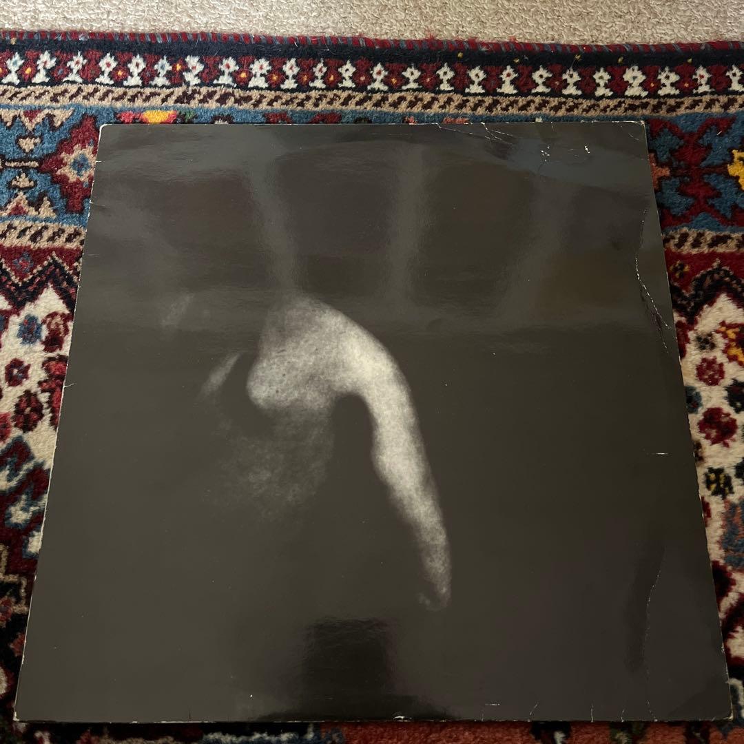 Asmus Tietchens Zwingburgen des Hedonismus Vinyl LP Experimental Industrial
