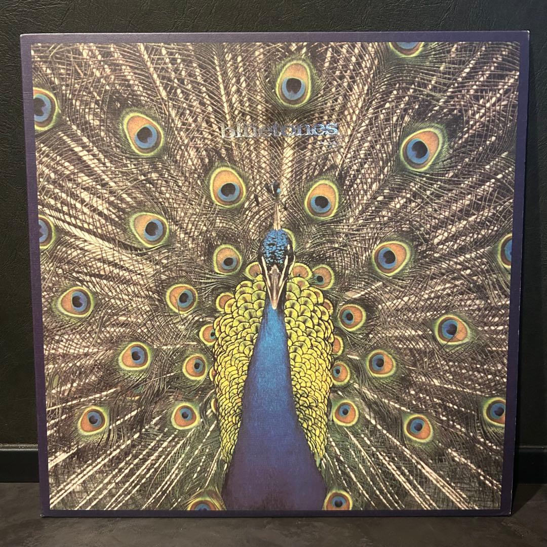 The Bluetones Expecting to Fly Vinyl LP Original 1996 Britpop Classic