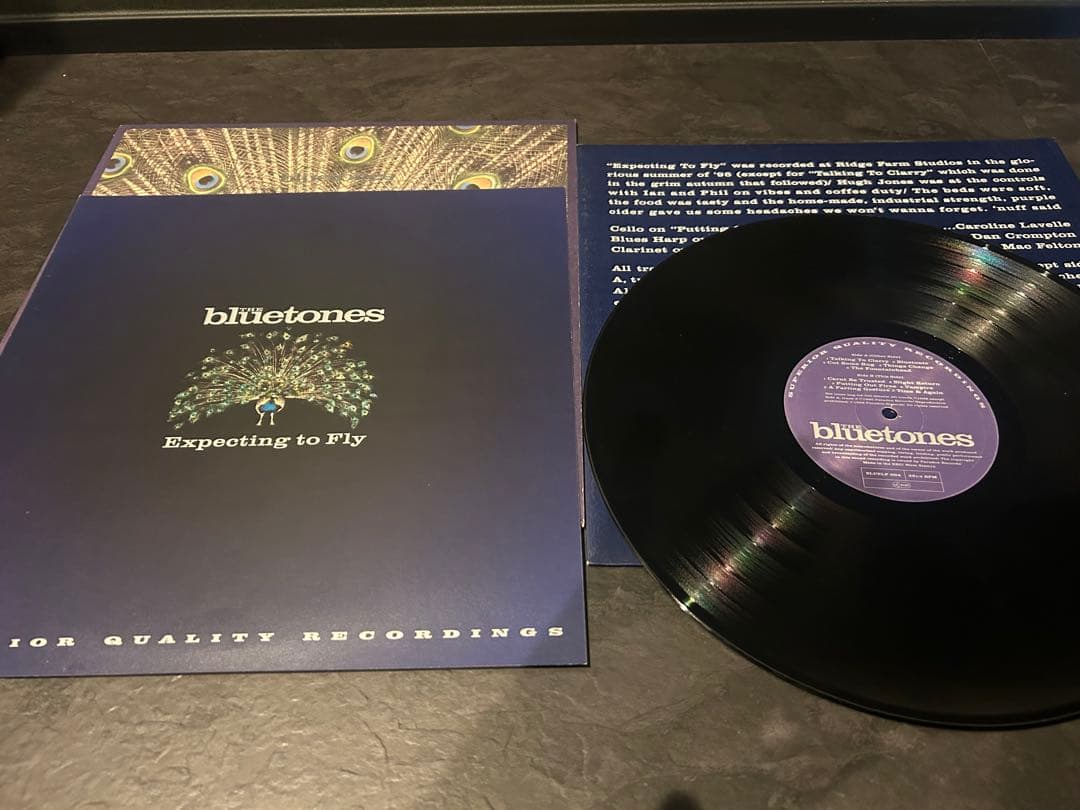 The Bluetones Expecting to Fly Vinyl LP Original 1996 Britpop Classic