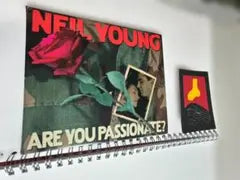 Neil Young - Are You Passionate? CD Paper Sleeve Japan Press 2002