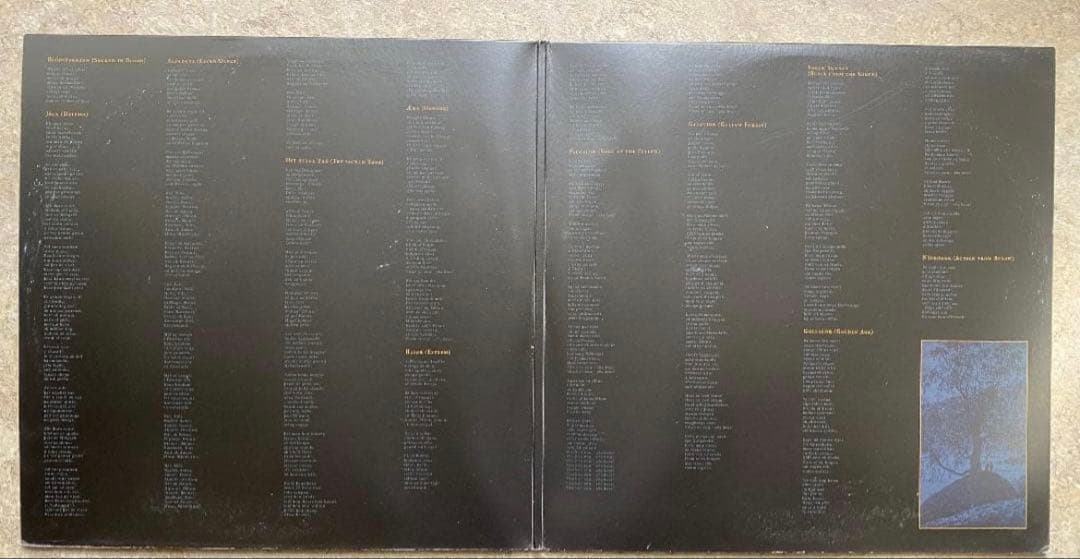 Burzum - Umskiptar 2LP Limited Edition Grey Vinyl 180g Pressing