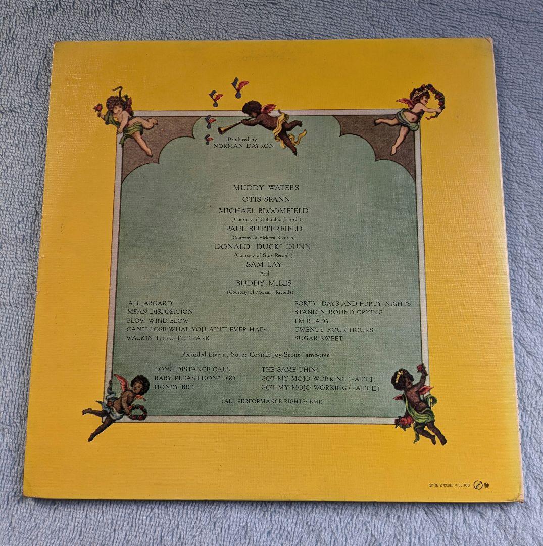 Muddy Waters Fathers and Sons Japan 2LP Chess SJET-9509-10 Rock Now Obi Insert