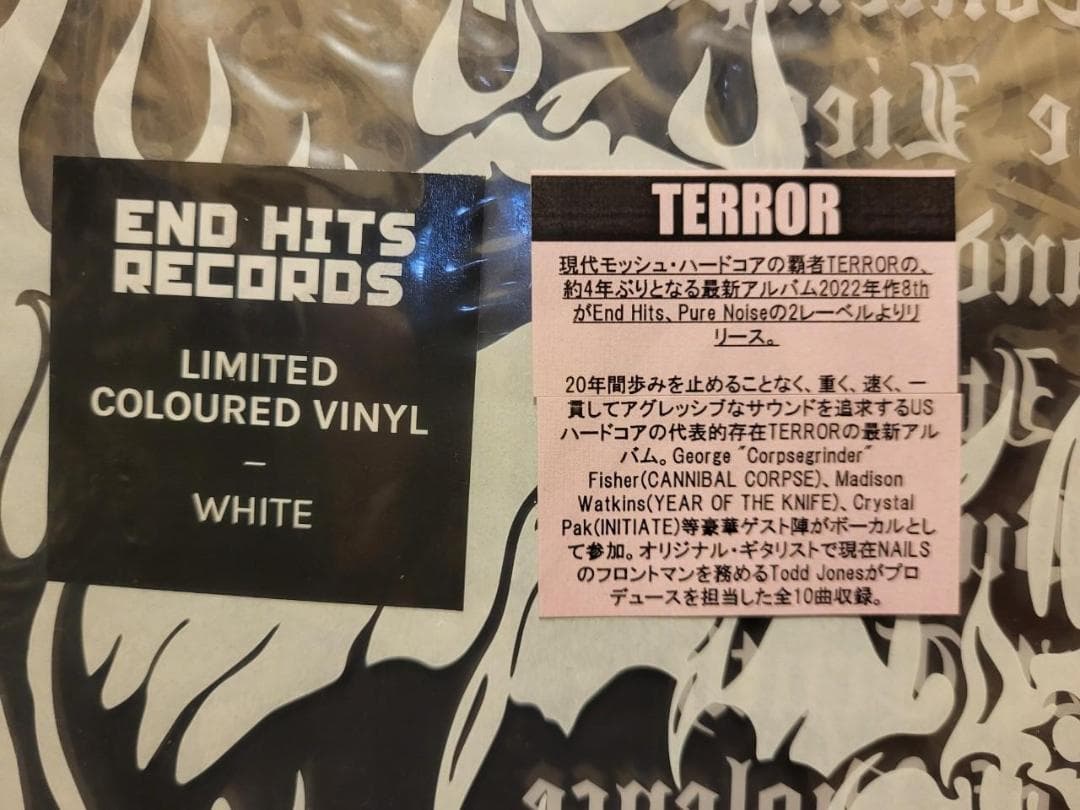 Terror - Pain Into Power LP White Vinyl Hardcore Punk Japan 2022