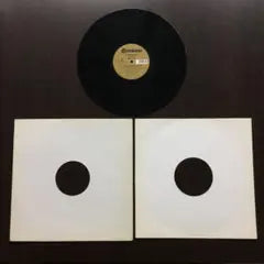 Byron Stingily Sing A Song 12" Vinyl Record Joey Negro Mix House Music Japan