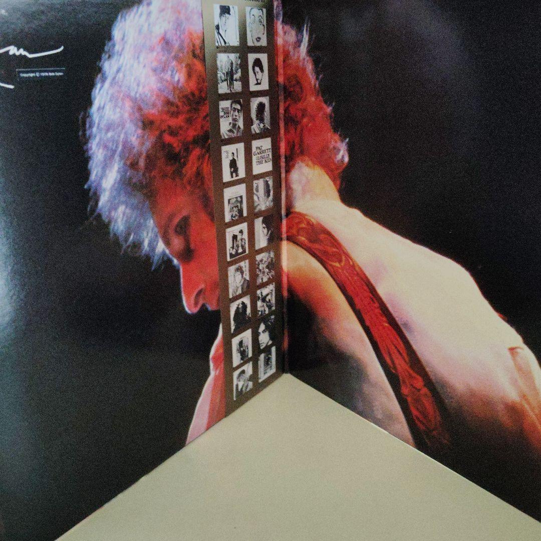 Bob Dylan At Budokan 2LP Japan Original 1978 40AP 1100-1 Vinyl w/Obi