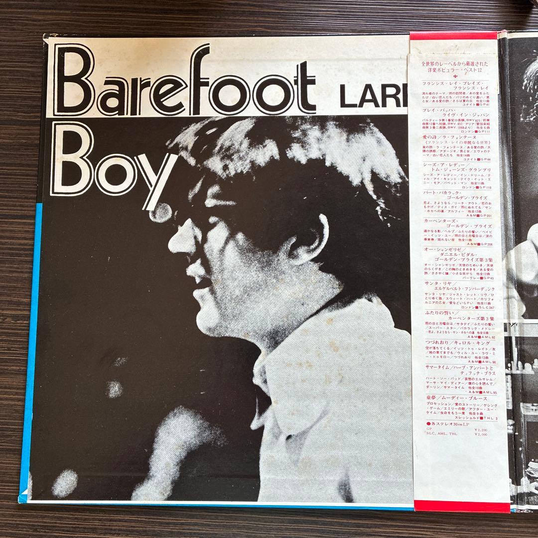 Larry Coryell - Barefoot Boy LP Japan Original 1971 Jazz Rock w/ OBI
