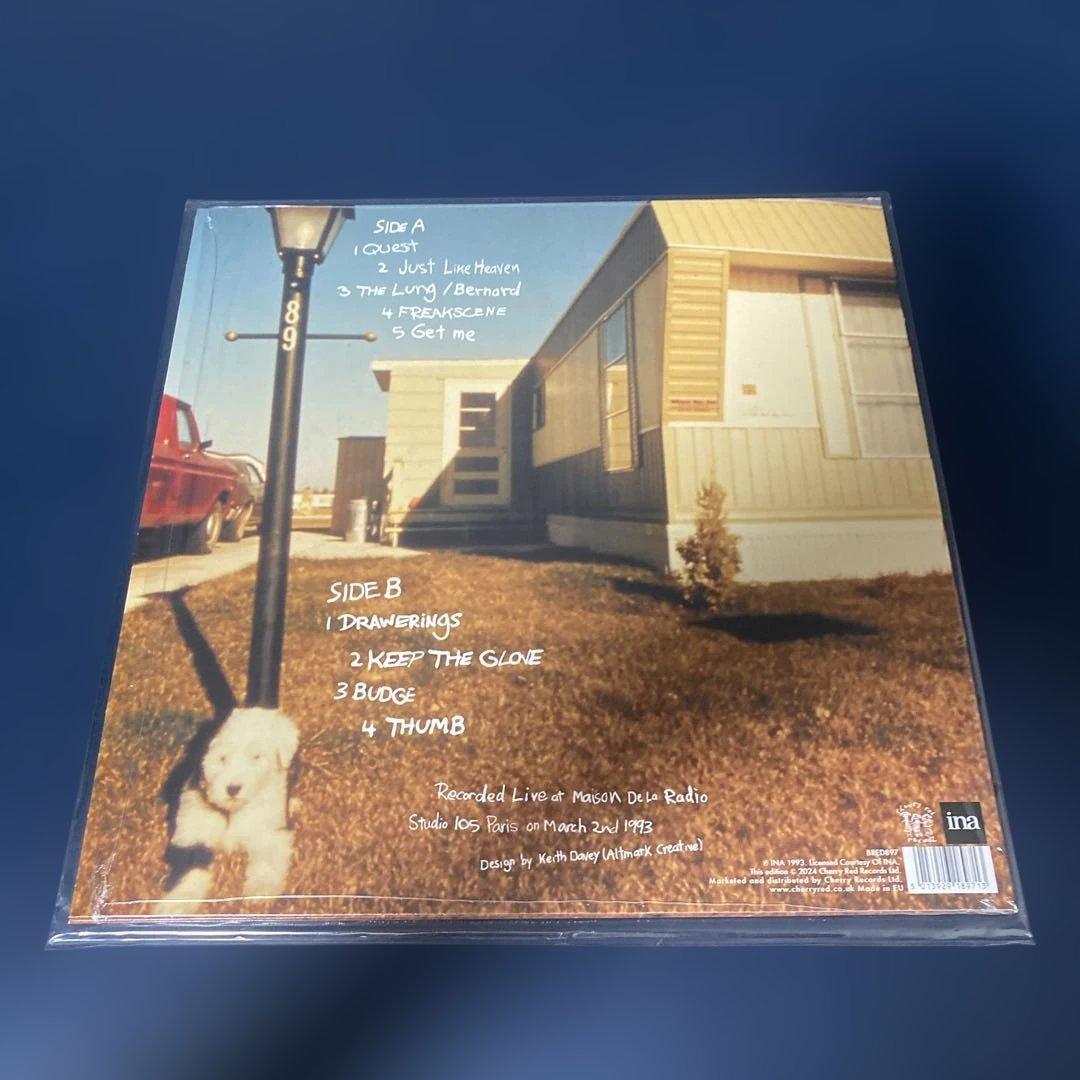 Dinosaur Jr. The Black Session LP Live 1993 Transparent Blue Vinyl Record
