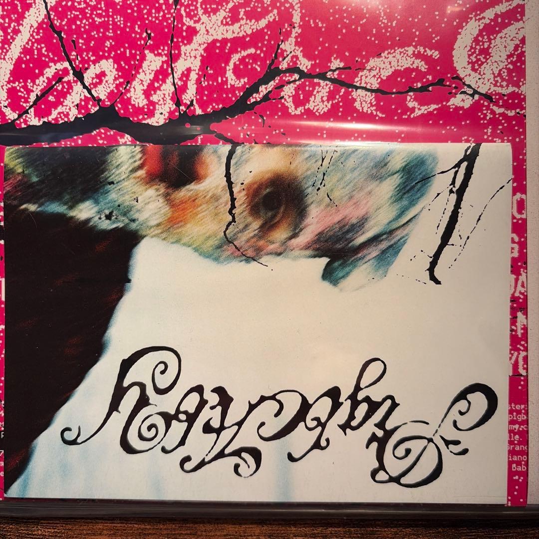 PIGBABY! Japan Special Edition LP With Obi Strip Rare Indie Alt Record