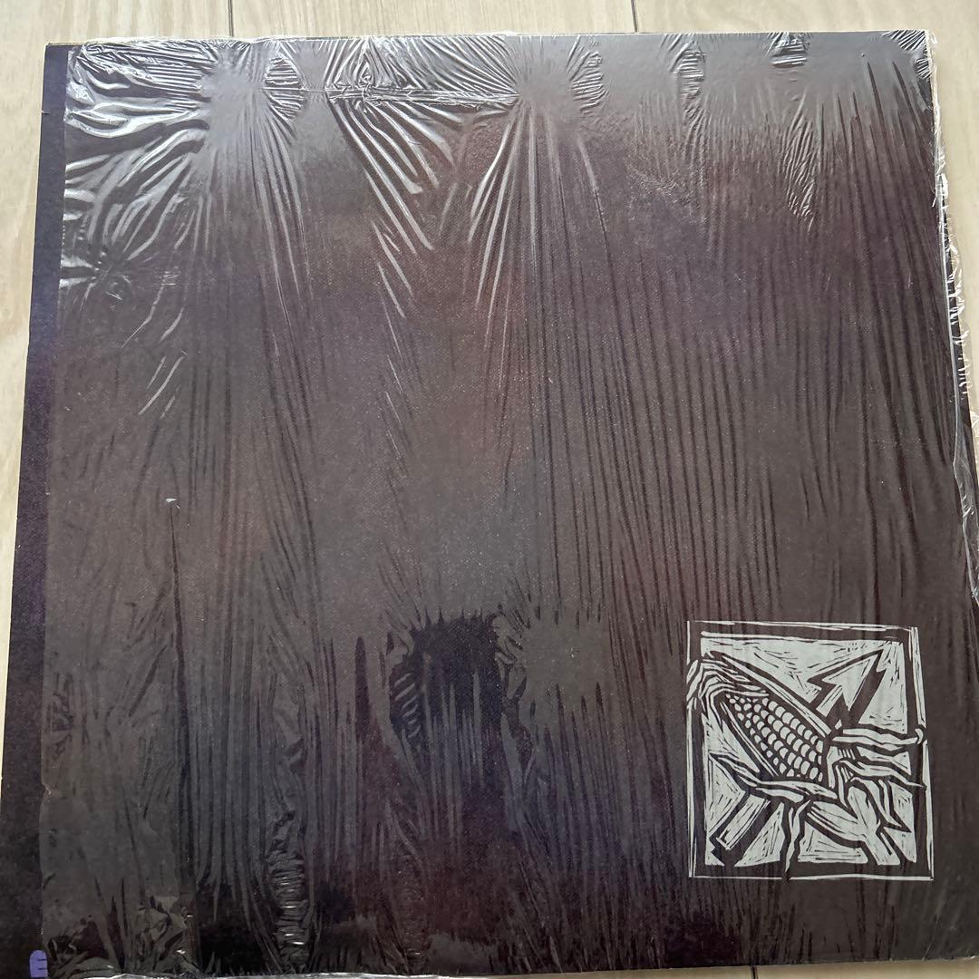 Bad Religion Against the Grain LP Black Vinyl 1990 Excellent Condition | Japansoundstore