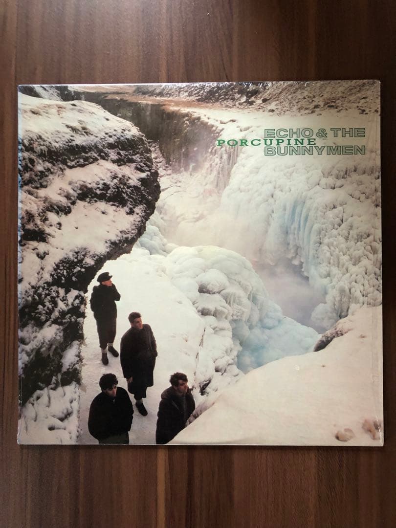 Echo & The Bunnymen - Porcupine LP - US Pressing - Post-Punk Classic