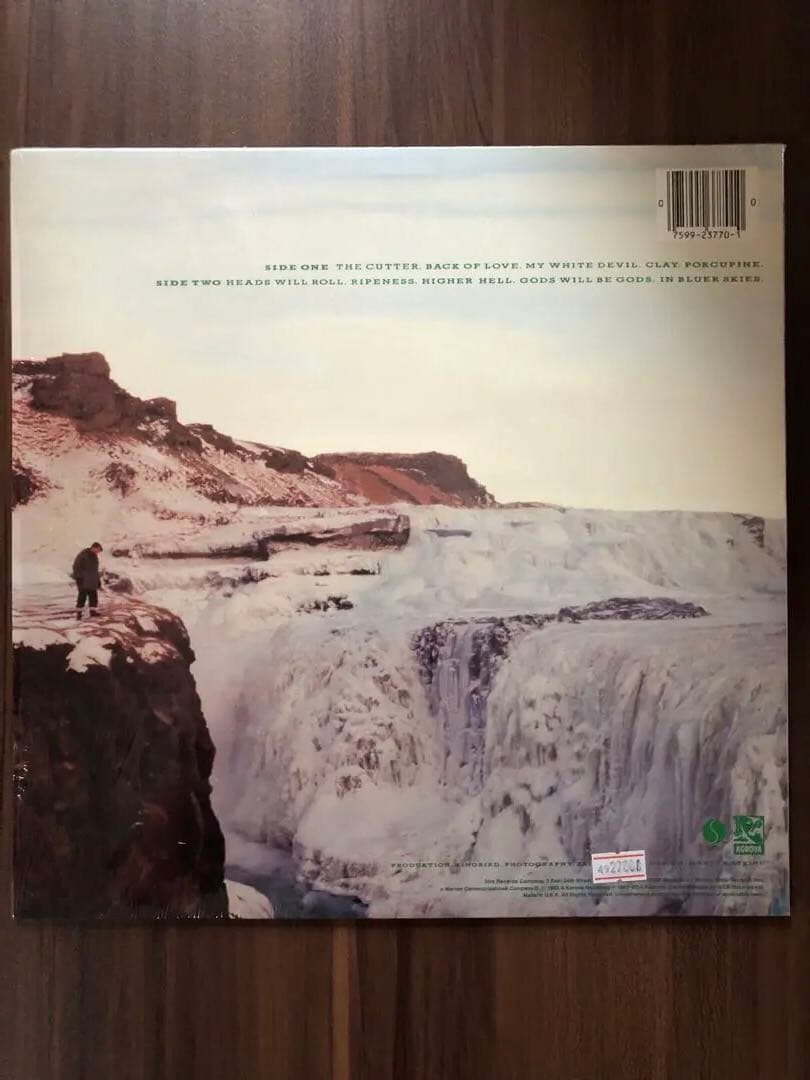Echo & The Bunnymen - Porcupine LP - US Pressing - Post-Punk Classic